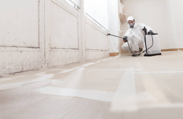 24/7 Emergency Mold Remediation experts in Concord, PA