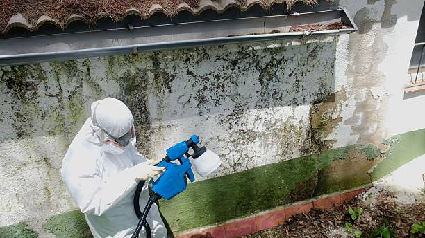 Trusted Mold Remediation service in Concord, PA - Cheap Mold Removal